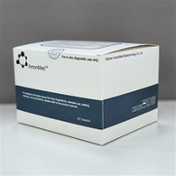 Ikhithi yoVavanyo ye-SAA